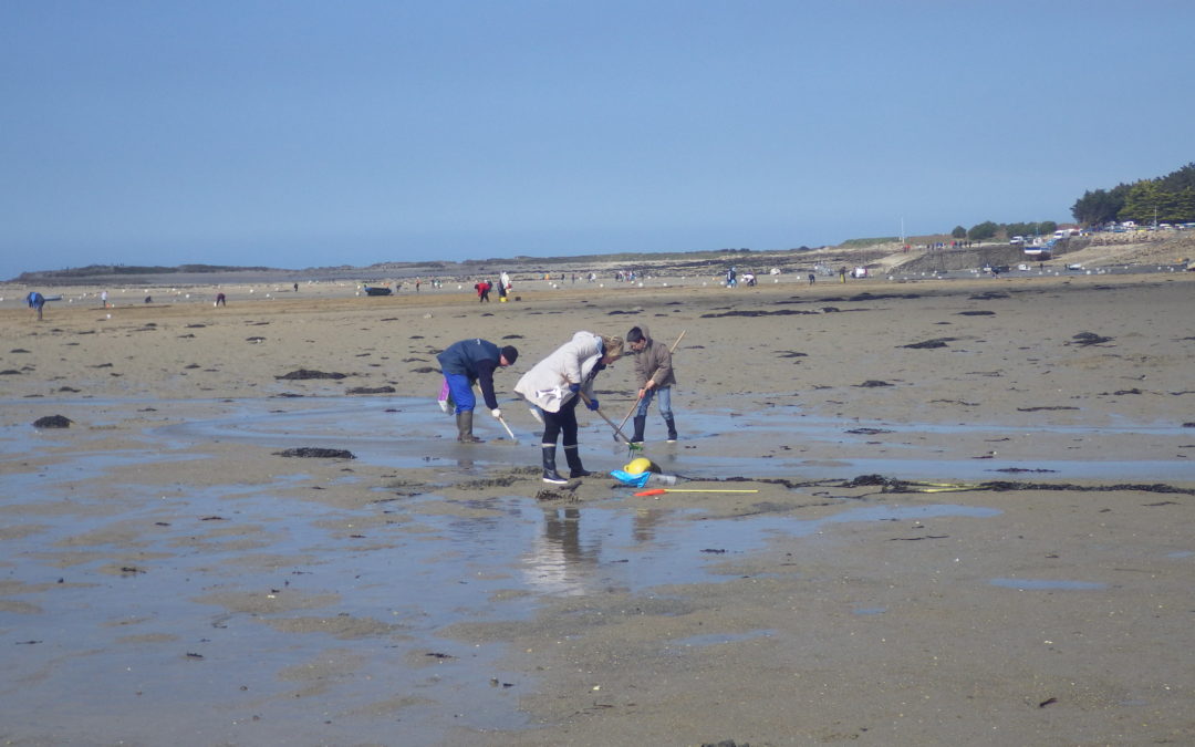 Sensibilisation des pêcheurs à pied à Goaz Trez