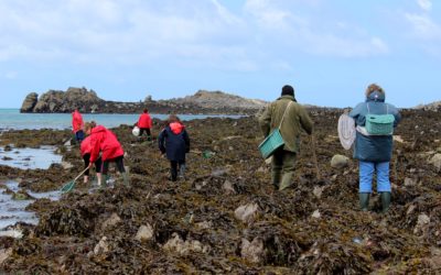 Réglementation Pêche à pied : ce qui change en 2018