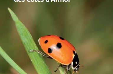 Nouveau… le guide atlas des coccinelles des Côtes d’Armor est disponible !