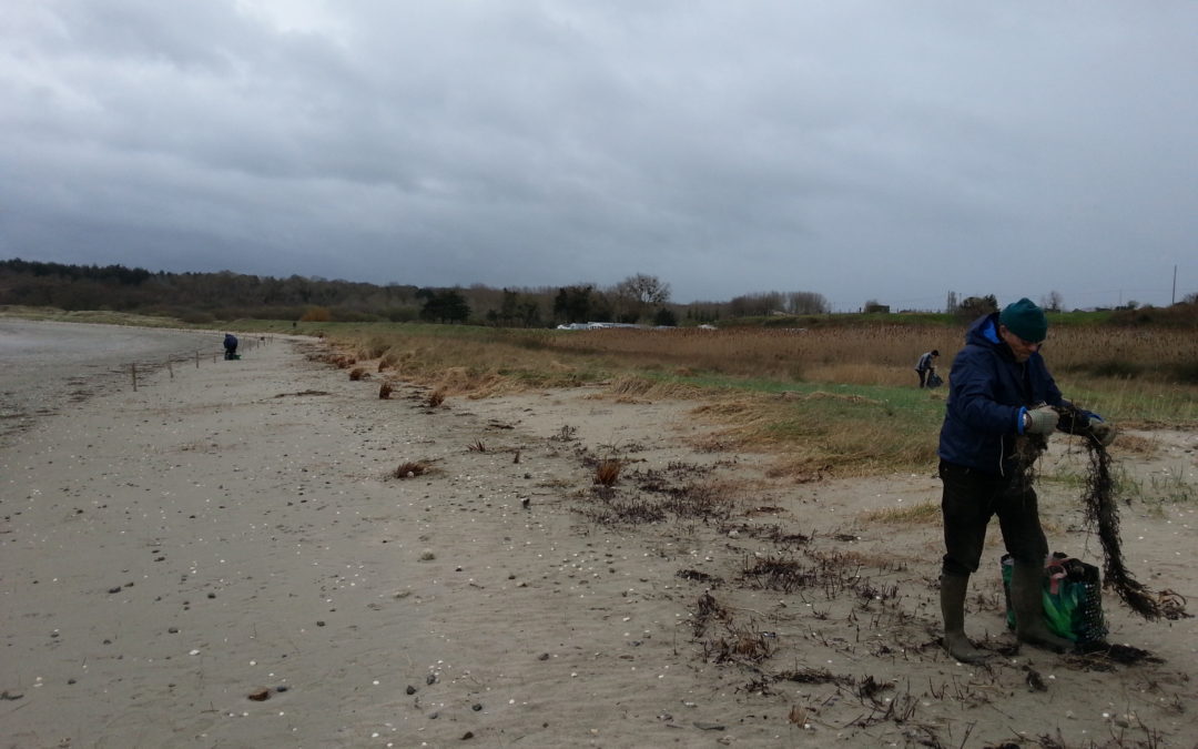 Bilan du dernier nettoyage de plage