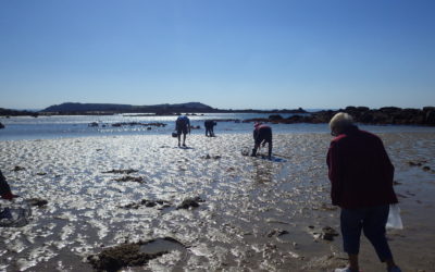 Grandes marées de mai : bilan de la sensibilisation des pêcheurs à pied