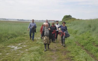 Le Tertre Corlieu et les polders de Ploubalay