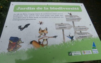 Visite commentée du jardin de la biodiversité des Rosaires