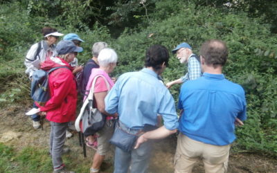 Sortie à la vallée du Moulin de la Mer à Matignon