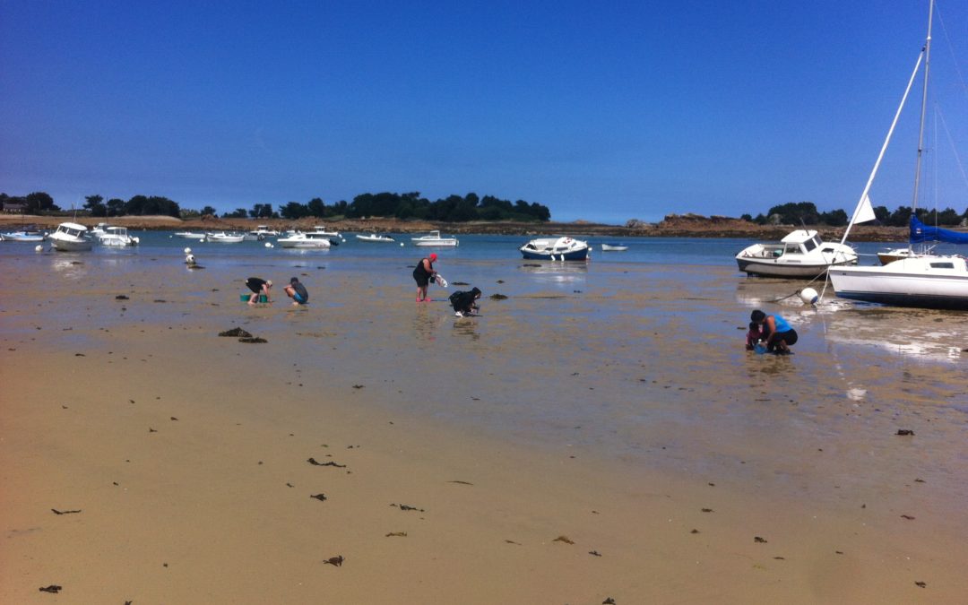 Sensibilisation des pêcheurs à pied à Penvénan