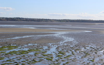 Peut-on jouer avec le sable ?