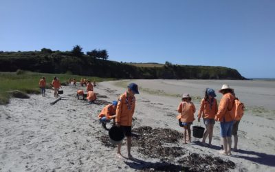 19 louveteaux à la découverte des dunes de Bon Abri !