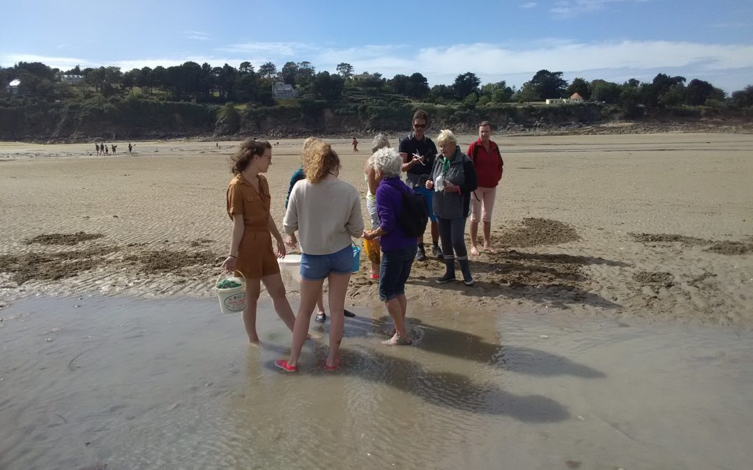 Sensibilisation des pêcheurs à pied à la plage du Moulin