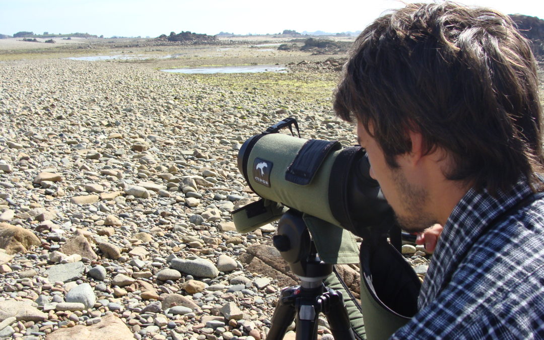 Comptage ornithologique au Sillon de Talbert