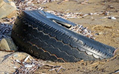 160 kg de déchets collectés lors du dernier nettoyage en baie de Saint-Brieuc !