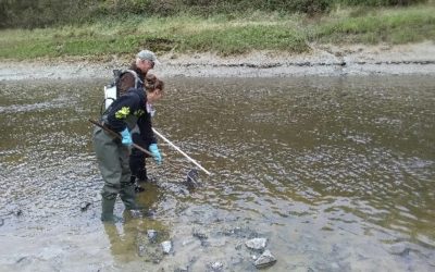 Un enregistreur biologique pour évaluer la qualité des estuaires