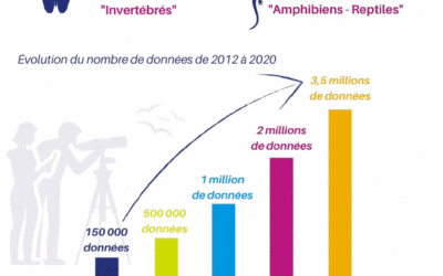 Plus de 3,5 millions de données naturalistes sur la plateforme participative Faune-Bretagne.org !