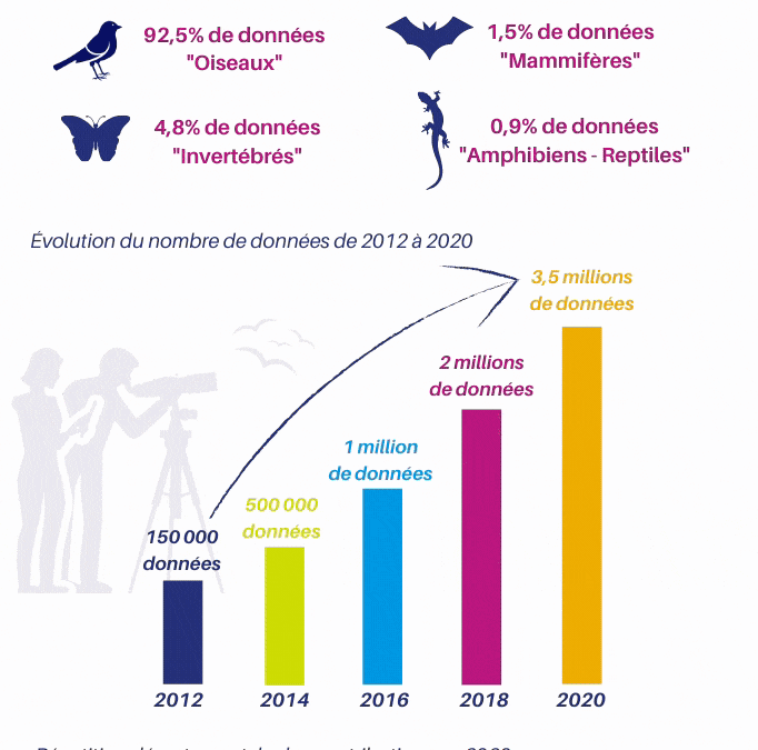 Plus de 3,5 millions de données naturalistes sur la plateforme participative Faune-Bretagne.org !