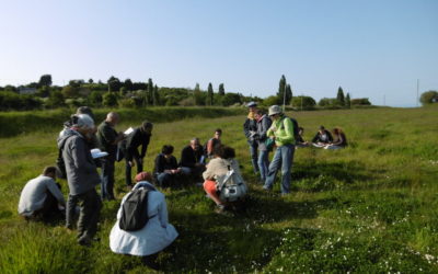 VivArmor Nature, lauréat d’un appel à projets national de mobilisation pour la biodiversité !