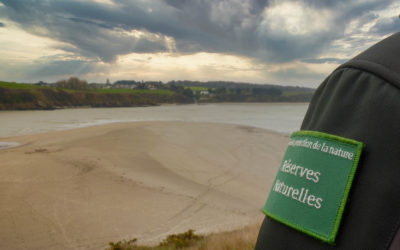 Une toute nouvelle « cellule contre les atteintes à l’environnement » au sein de la gendarmerie des Côtes d’Armor