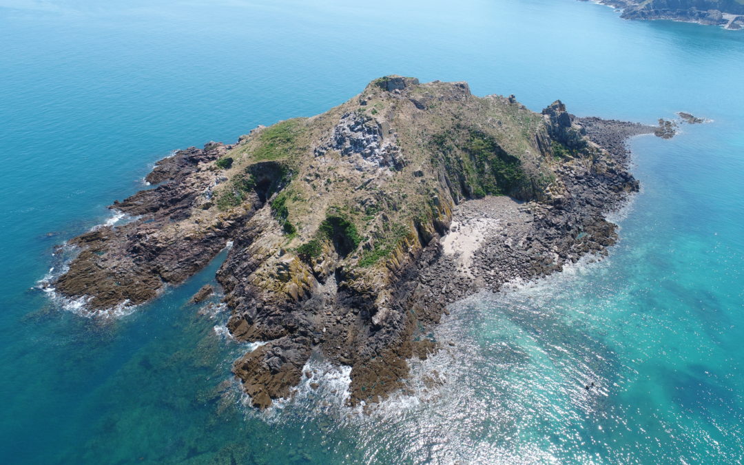 Stand « Les richesses de l’îlot du Verdelet »