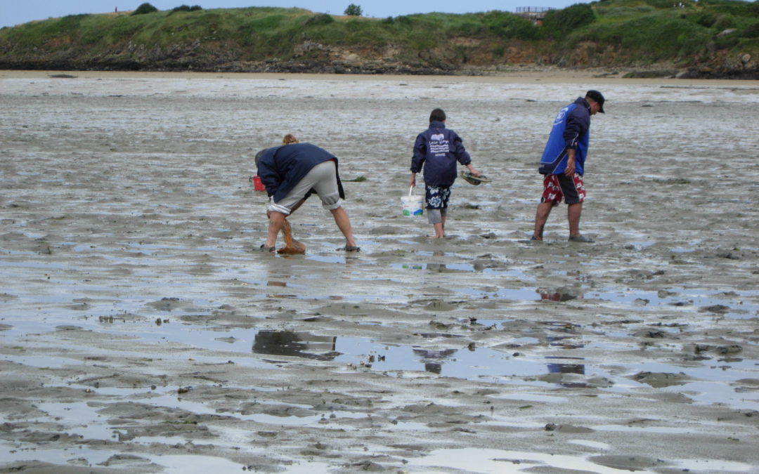 Sensibilisation des pêcheurs à pied au Banc du Guer