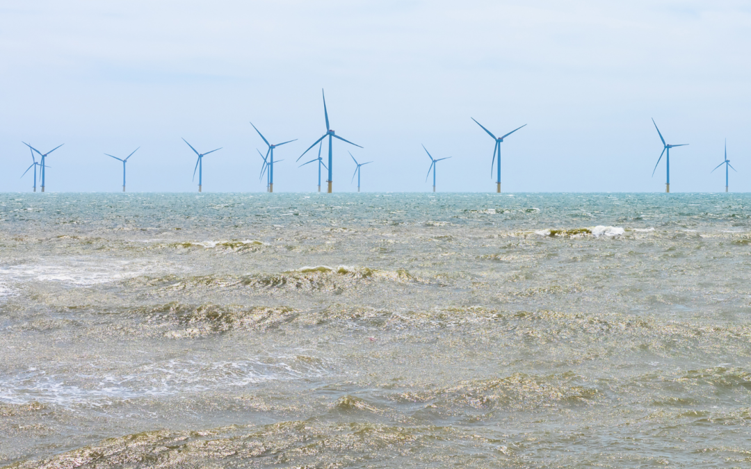 Parc éolien en baie de St-Brieuc : FNE-Bretagne réaffirme la nécessité d’une transition énergétique concertée
