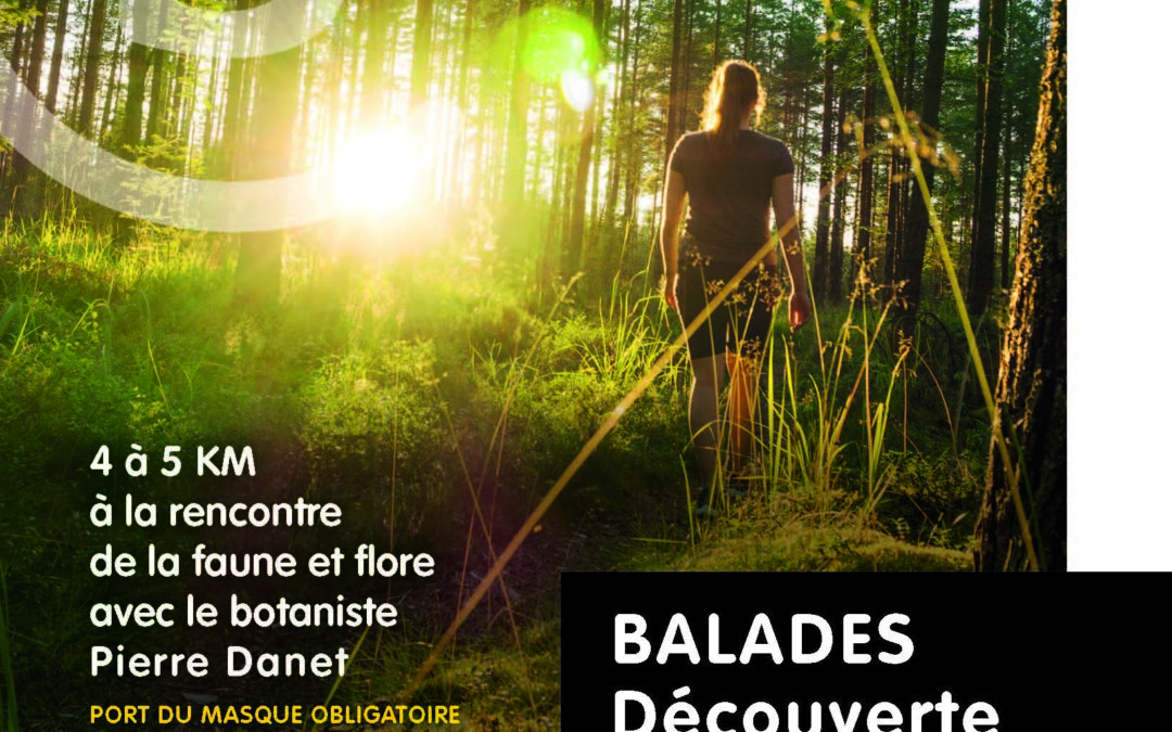 Balades découverte en forêt de Loudéac