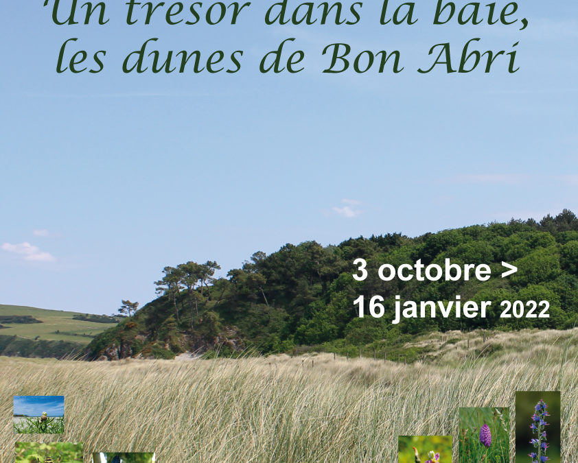 « Un trésor dans la baie, les dunes de Bon Abri »