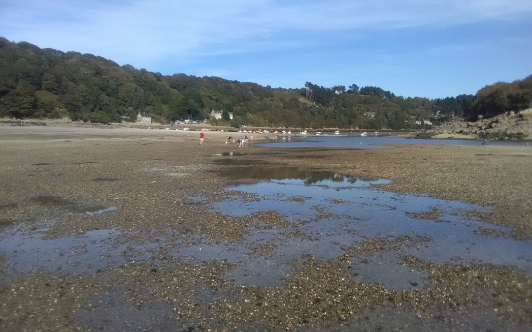 Sensibilisation des pêcheurs à pied au Banc du Guer