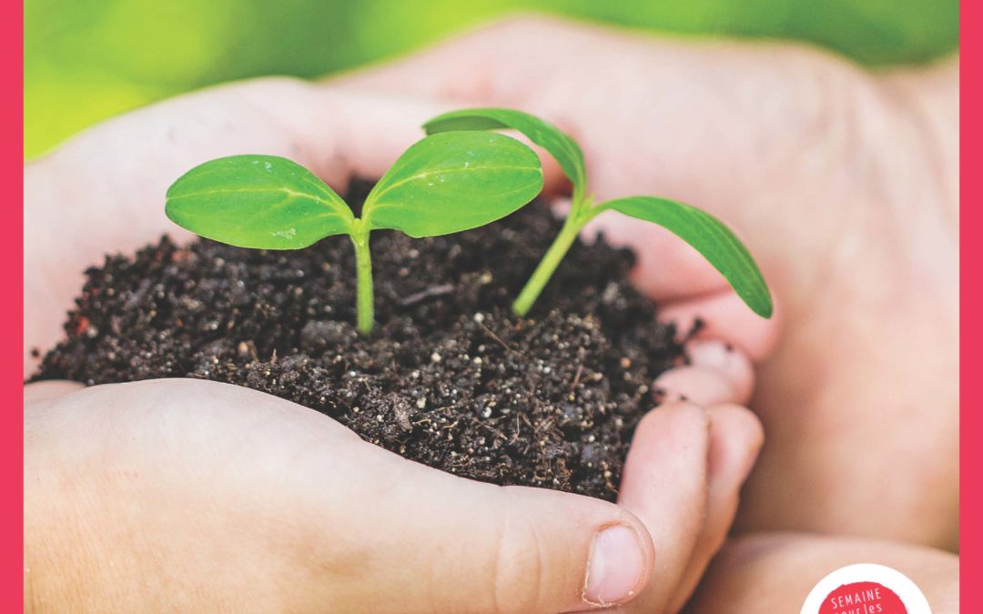 Stand « biodiversité au jardin » et atelier « nichoirs »