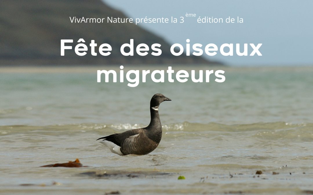 Troisième édition de la Fête des oiseaux migrateurs