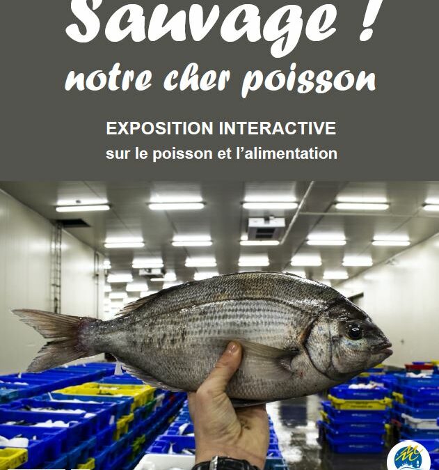 Expo intérieure de la Maison de la Baie : « Sauvage ! notre cher poisson »