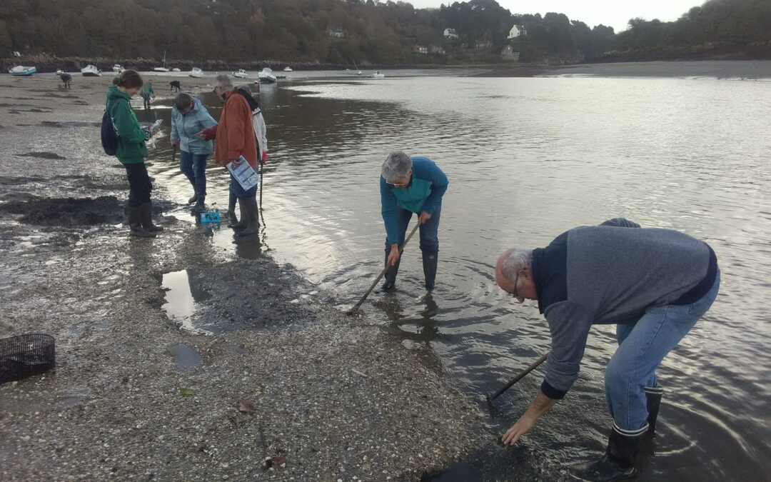 Sensibilisation des pêcheurs à pied au Banc du Guer