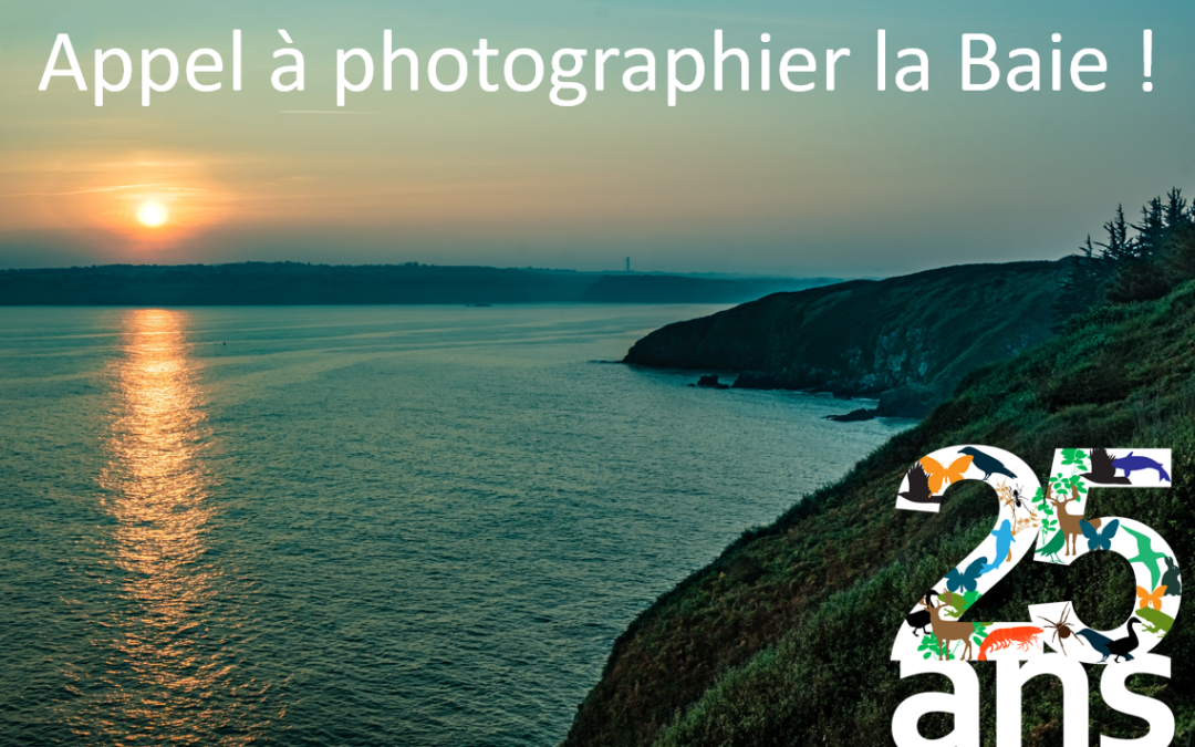 Appel à photographier la baie