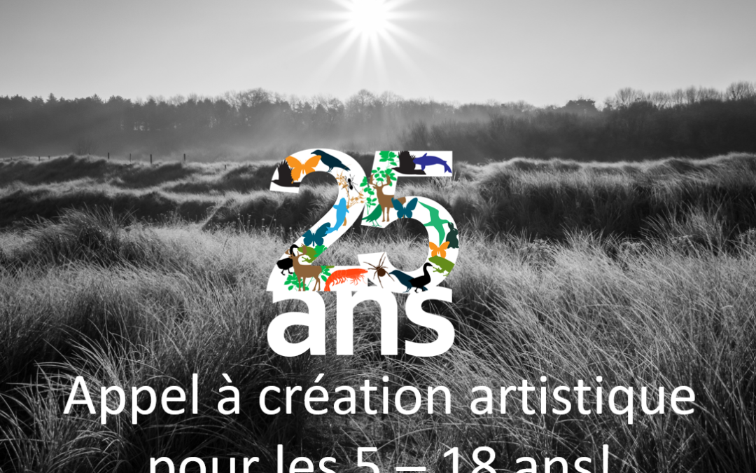 Appel à création artistique pour les 5-18 ans