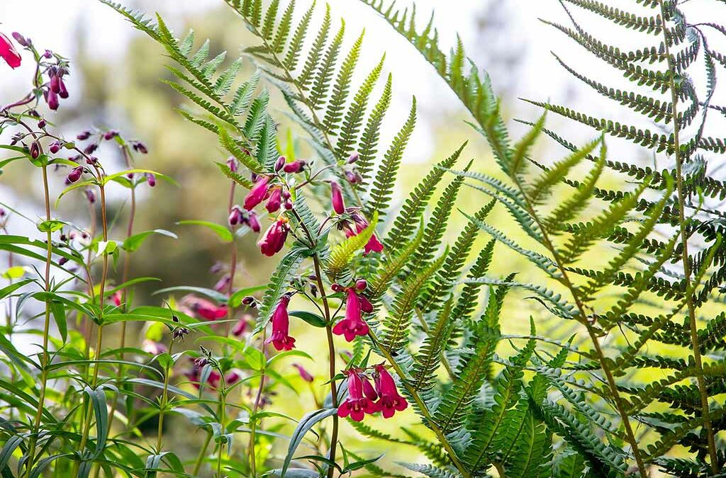 Stand « biodiversité au jardin »