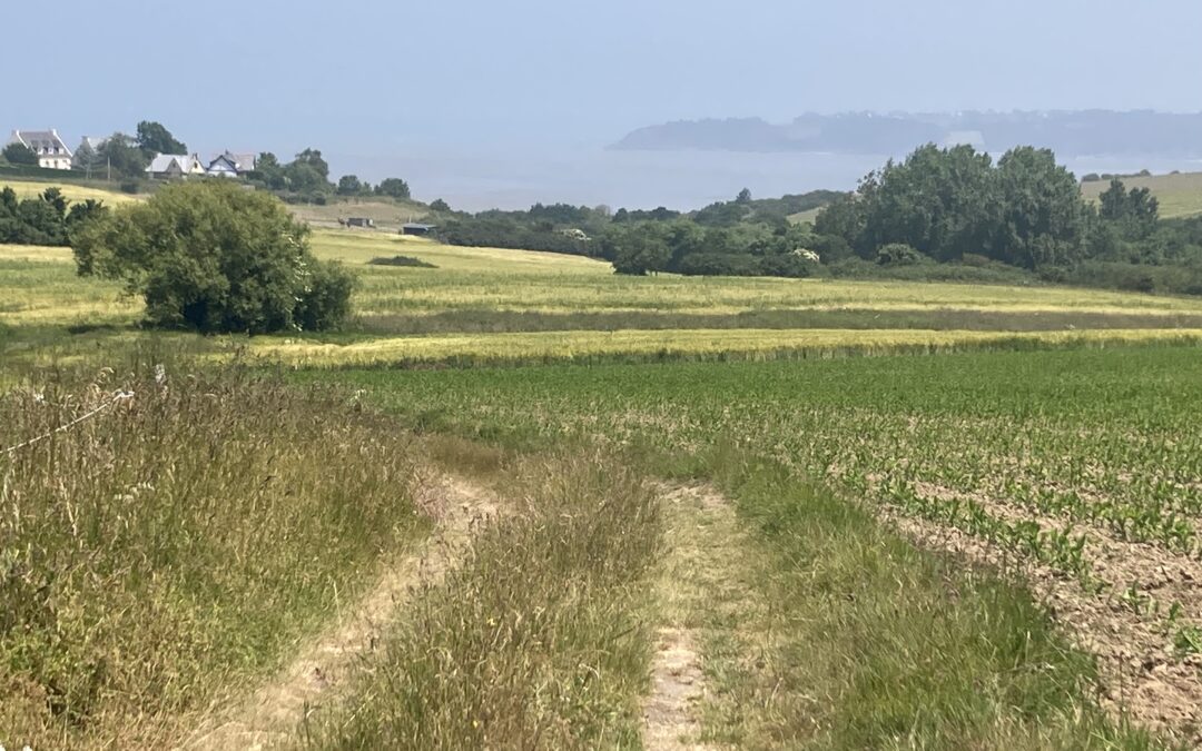 Mieux connaître le site de la vallée du Douvenant et de la Grève des Courses