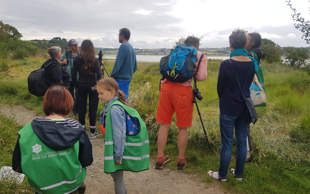 Ambassadeurs de la baie : le bilan de l’été