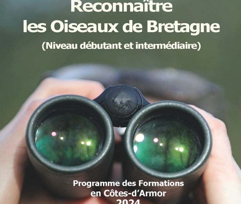 Formation du GEOCA : initiation à la reconnaissance des oiseaux