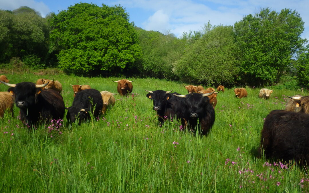 Épargner pour la biodiversité et soutenir l’agriculture paysanne