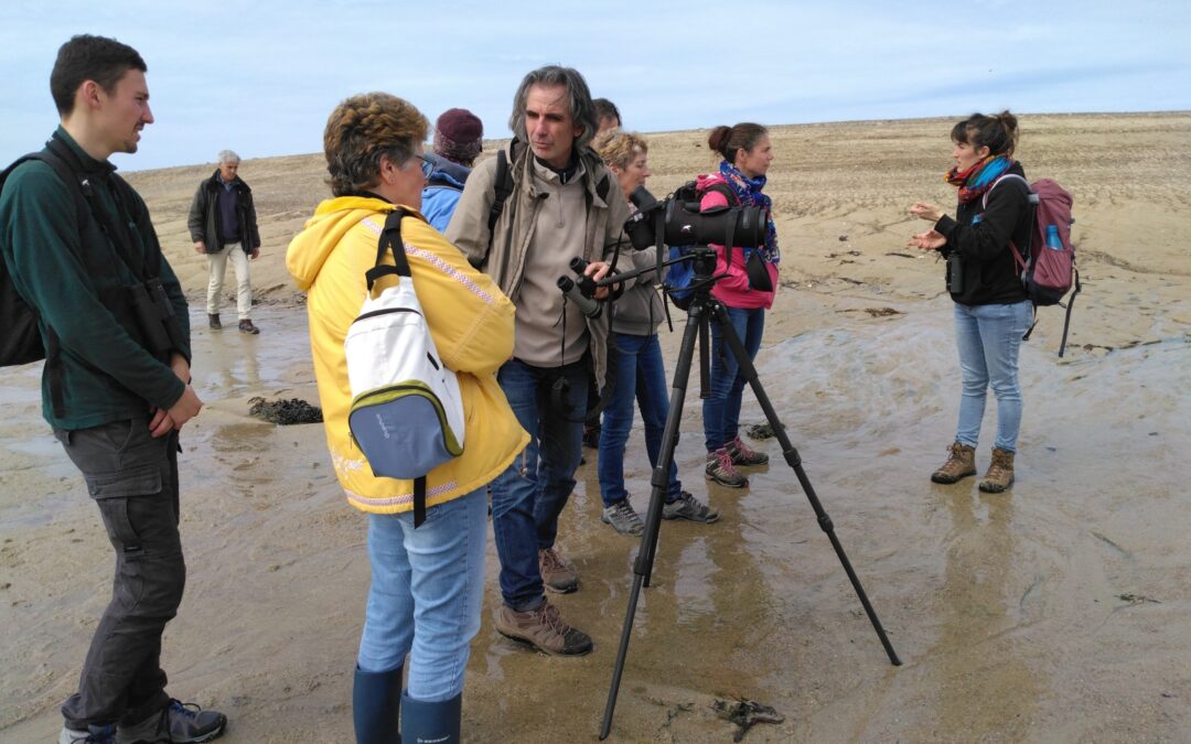 Opération « Attention, on marche sur des œufs » : bénévoles sur les ponts !