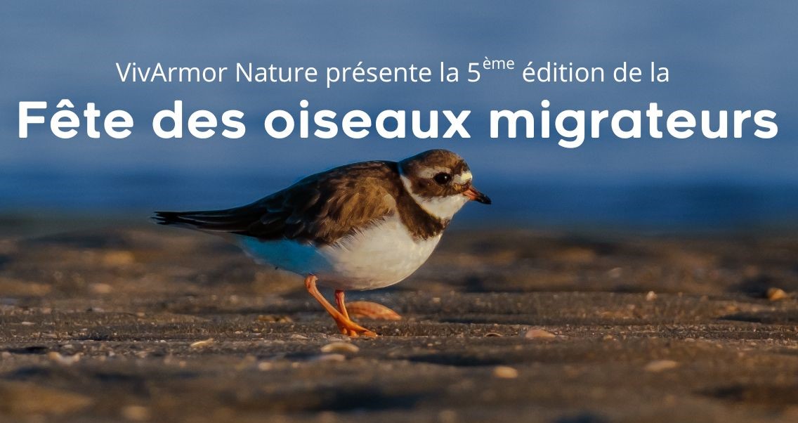 Cinquième édition de la Fête des oiseaux migrateurs