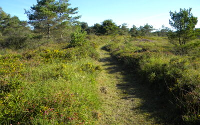 Point sur le projet de Réserve naturelle régionale des Landes de La Poterie