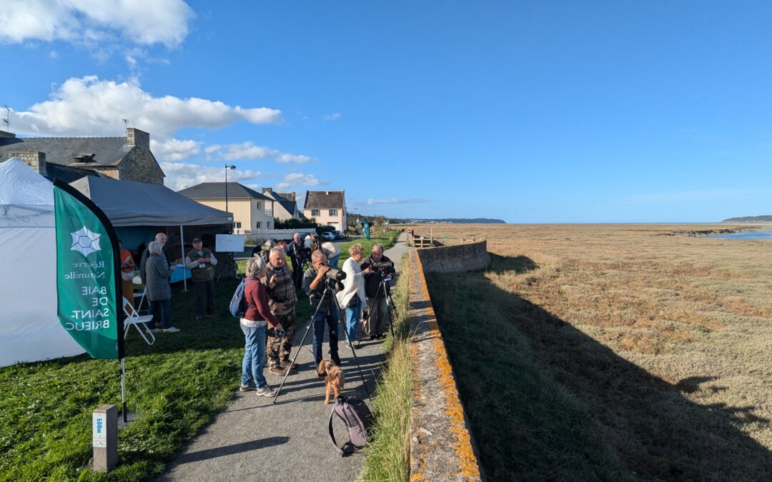 Bilan du weekend de la fête des oiseaux migrateurs