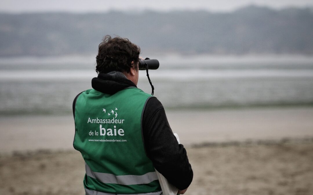 Ambassadeurs de la baie : le bilan des vacances de la Toussaint