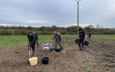 Aider les paysans à planter des haies